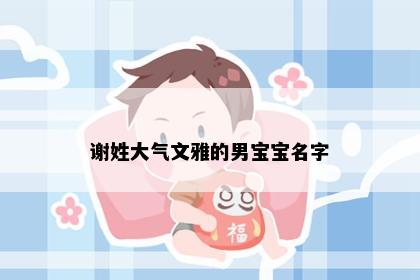 谢姓大气文雅的男宝宝名字