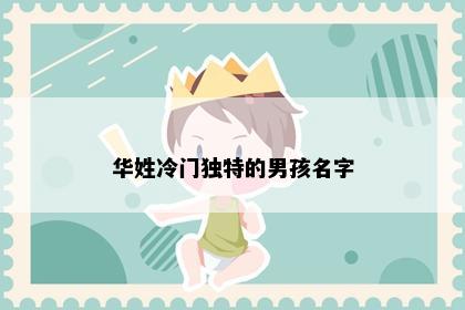 华姓冷门独特的男孩名字